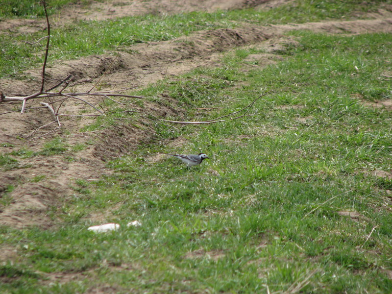 IMG_3618.jpg - ����� ����������