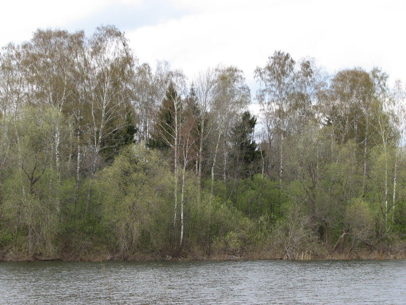 IMG_3619.jpg - ����� ����������