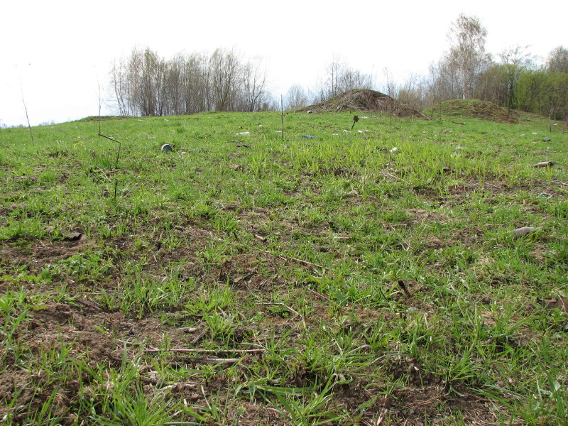 IMG_3622.jpg - ����� ����������