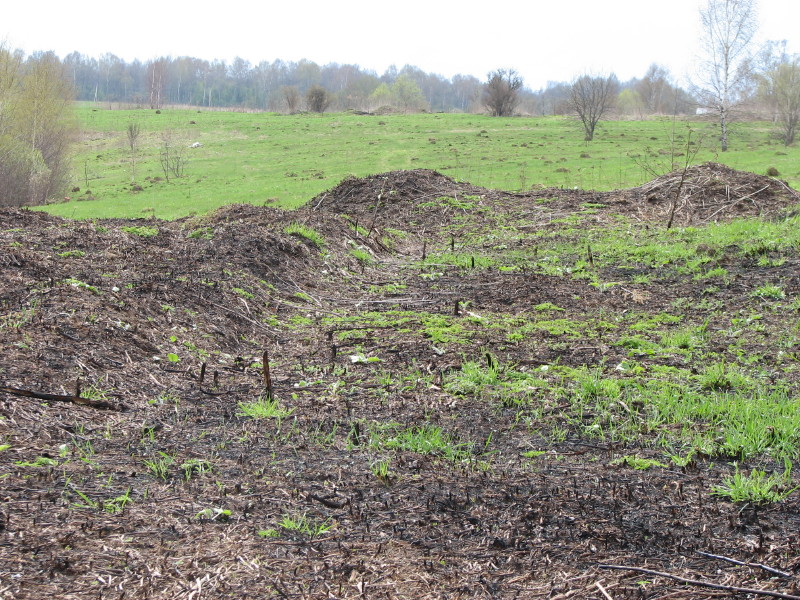 IMG_3625.jpg - ����� ����������