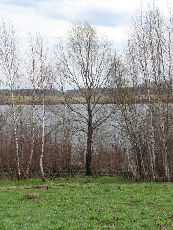 IMG_3631.jpg - ����� ����������