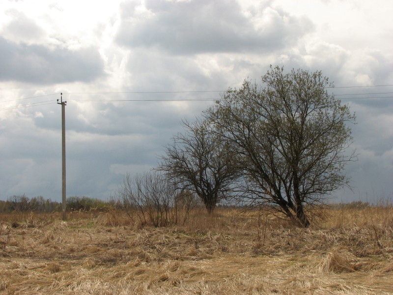 IMG_3637.jpg - ����� ����������