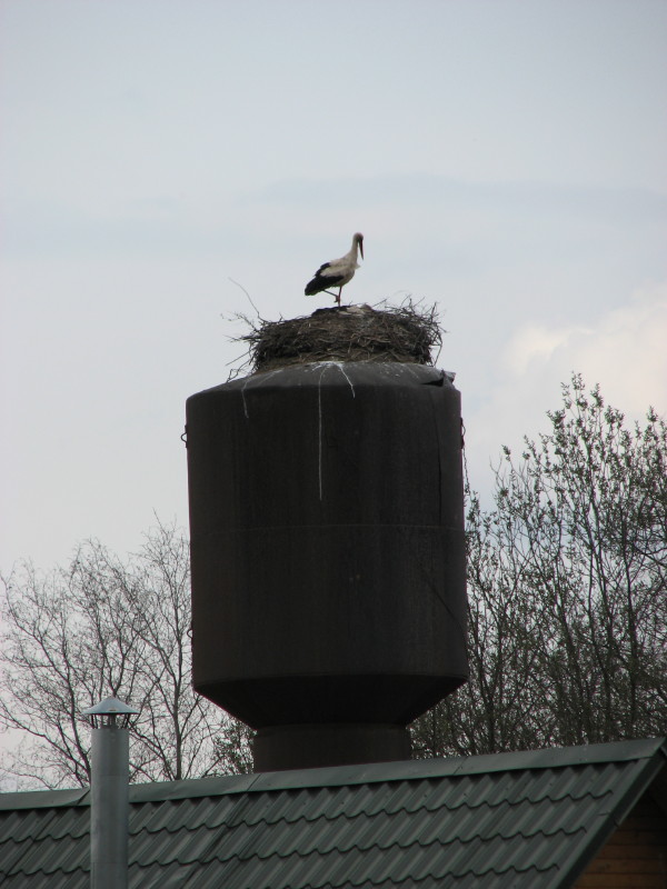 IMG_3641.jpg - ����� ����������