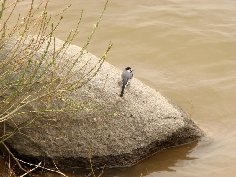 IMG_3686.jpg - ����� ����������