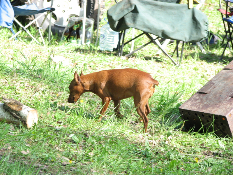 IMG_3698.jpg - ������ ���������� �� �������� ������� 2007