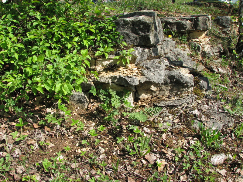 IMG_3709.jpg - ������ ���������� �� �������� ������� 2007