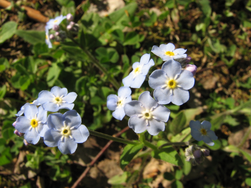 IMG_3710.jpg - ������ ���������� �� �������� ������� 2007