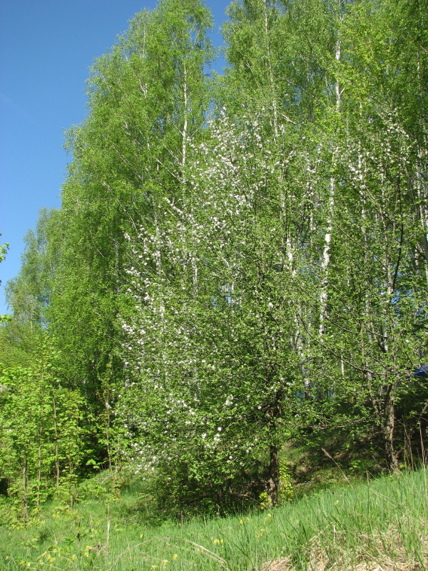 IMG_3712.jpg - ������ ���������� �� �������� ������� 2007