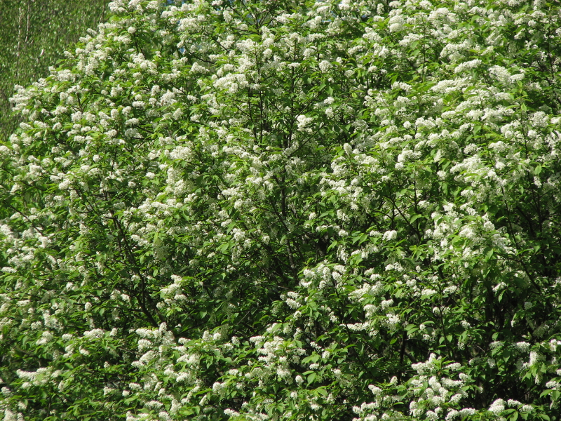 IMG_3713.jpg - ������ ���������� �� �������� ������� 2007