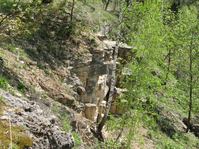 IMG_3737.jpg - ������ ���������� �� �������� ������� 2007