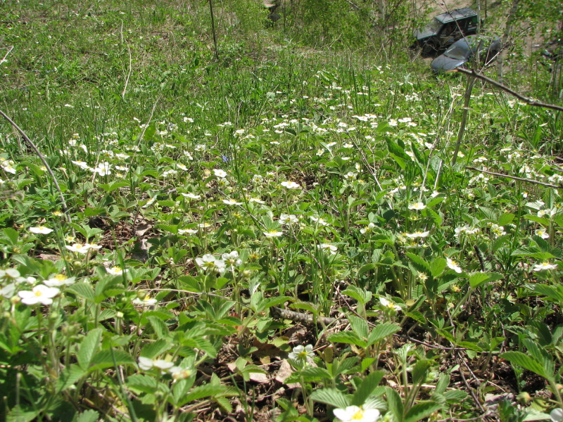 IMG_3744.jpg - ������ ���������� �� �������� ������� 2007