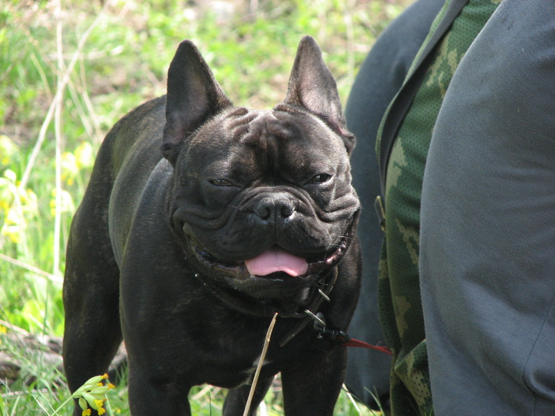 IMG_3777.jpg - ������ ���������� �� �������� ������� 2007