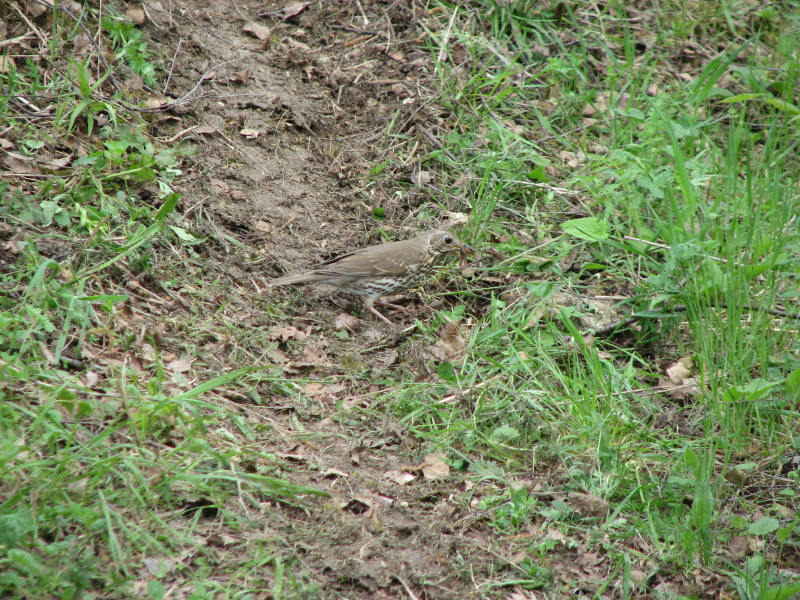 IMG_3824.jpg - ������ ���������� �� �������� ������� 2007