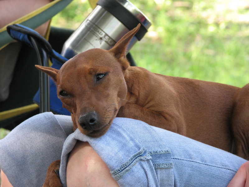 IMG_3831.jpg - ������ ���������� �� �������� ������� 2007