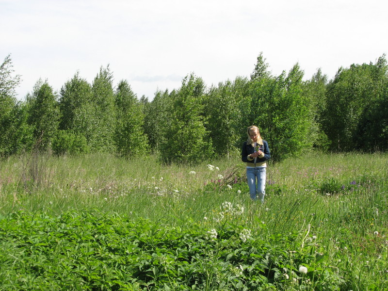 IMG_3852.jpg - �������� ������� ������ 2007