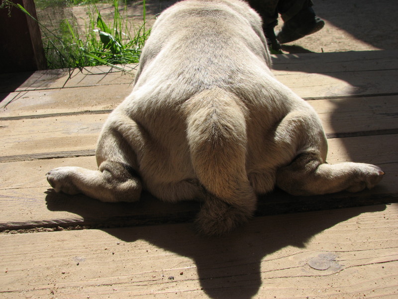 IMG_3859.jpg - �������� ������� ������ 2007