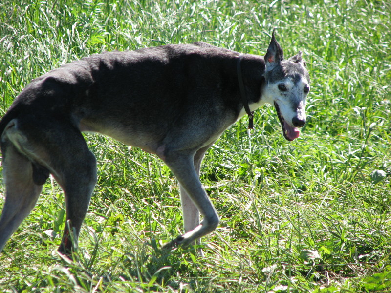 IMG_4124.jpg - �������� ������� ������ 2007