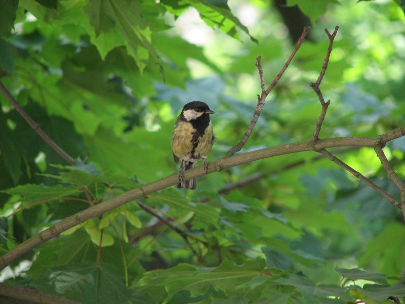 IMG_0042.jpg - ������ ���������� � �����-����������