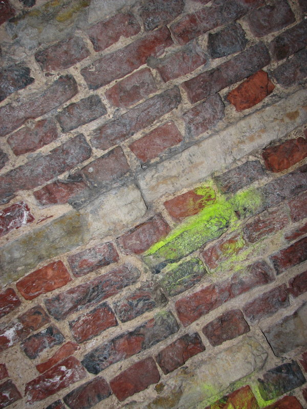 IMG_0242.jpg - ������ ���������� � �����-����������