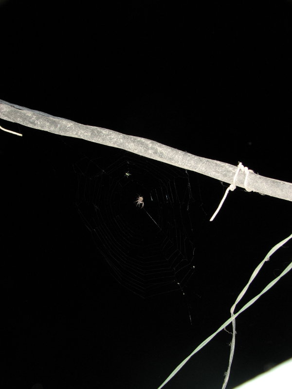 IMG_0294.jpg - ������ ���������� � �����-����������