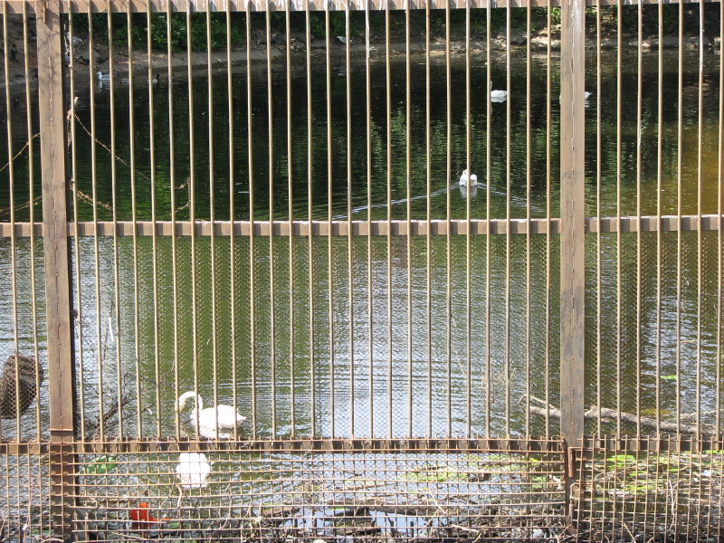 IMG_0339.jpg - ������ ���������� � �����-����������