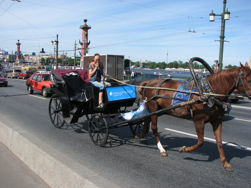 IMG_0385.jpg - ������ ���������� � �����-����������