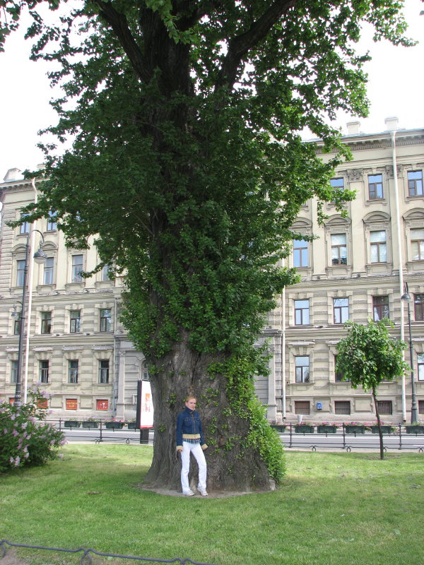 IMG_0407.jpg - ������ ���������� � �����-����������