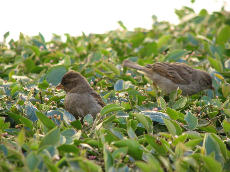 IMG_0506.jpg - ������ ���������� � �����-����������