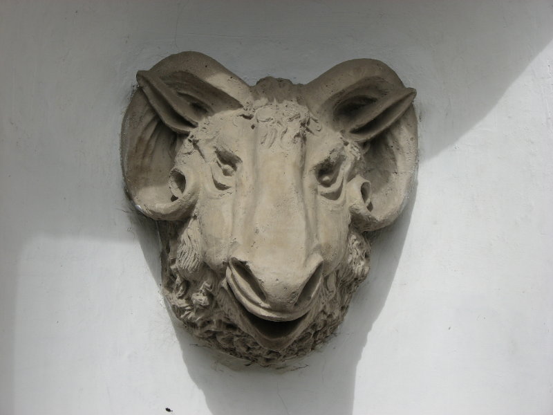 IMG_0561.jpg - ������ ���������� � �����-����������