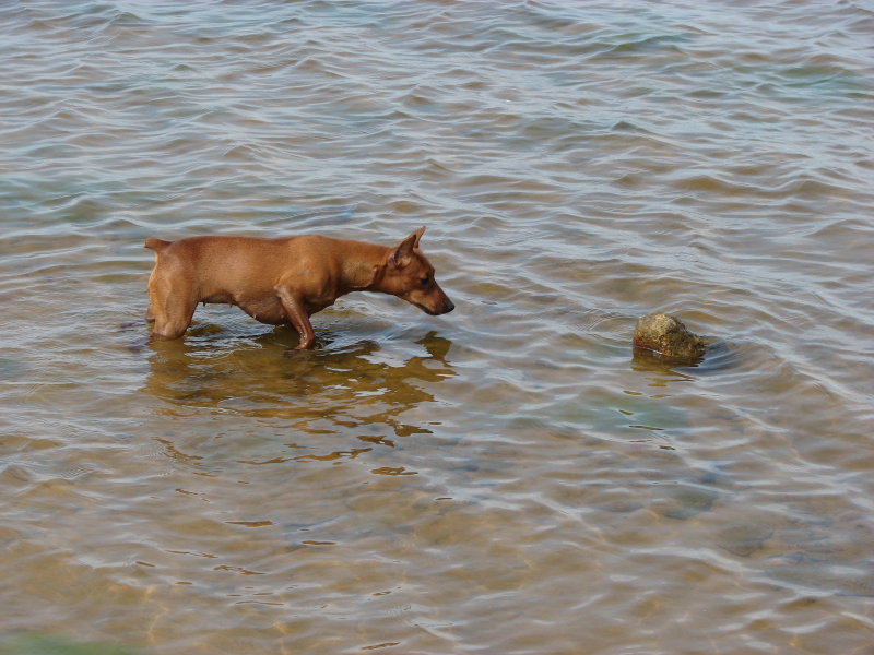 IMG_0577.jpg - ������ ���������� � �����-����������