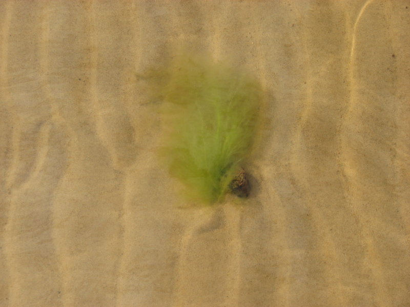 IMG_0588.jpg - ������ ���������� � �����-����������