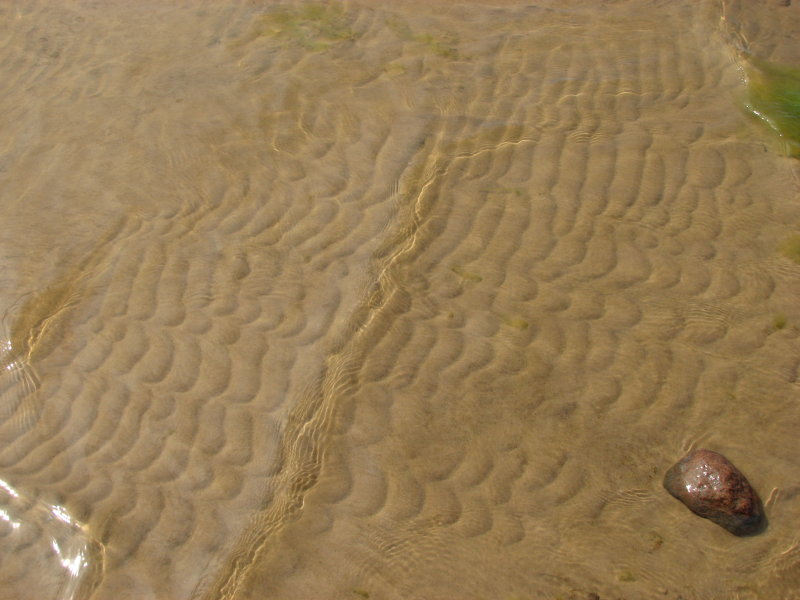 IMG_0597.jpg - ������ ���������� � �����-����������