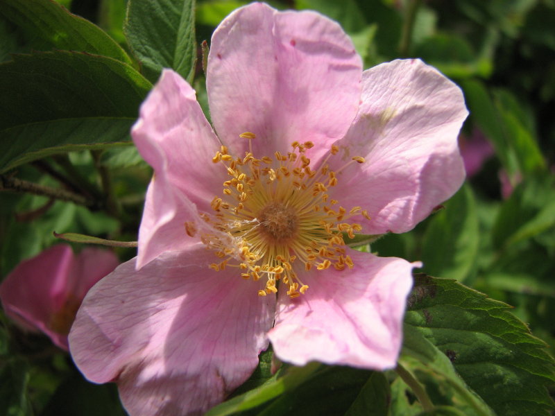 IMG_0599.jpg - ������ ���������� � �����-����������