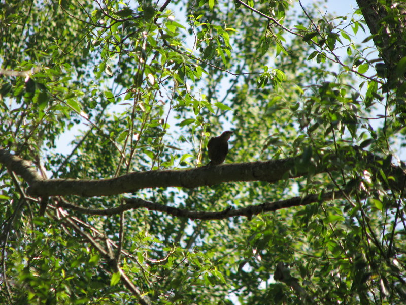 IMG_0619.jpg - ������ ���������� � �����-����������