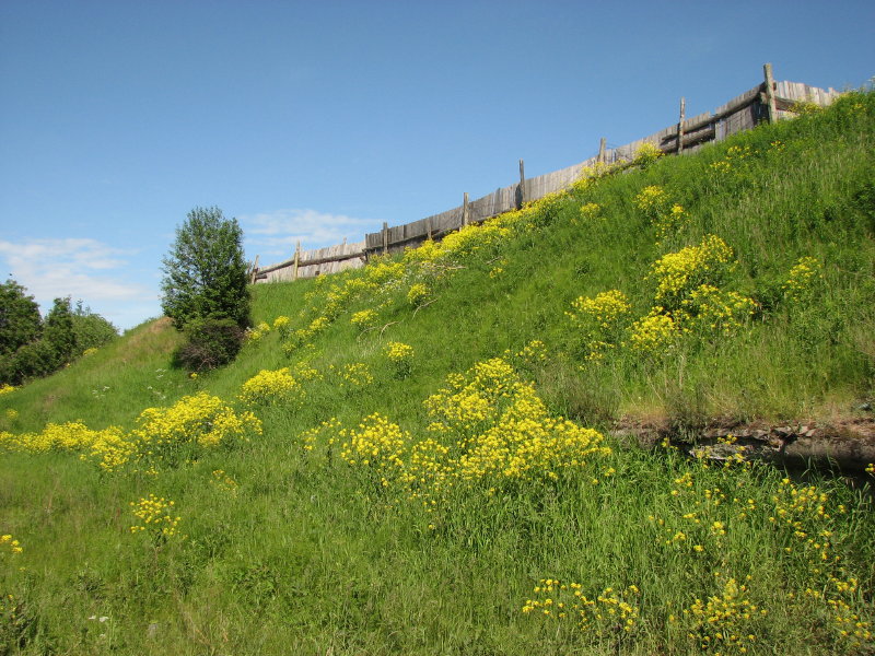 IMG_0621.jpg - ������ ���������� � �����-����������