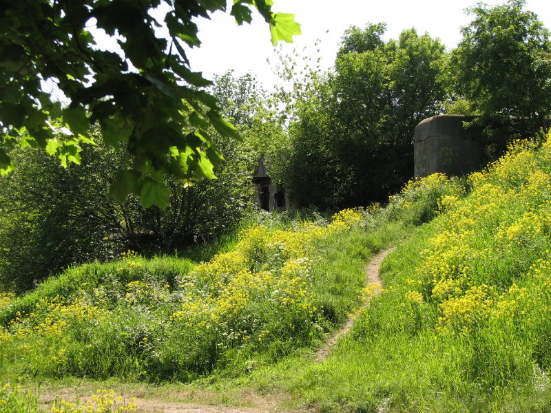 IMG_0627.jpg - ������ ���������� � �����-����������