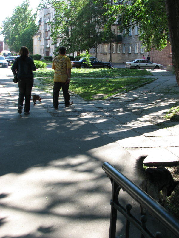 IMG_0673.jpg - ������ ���������� � �����-����������