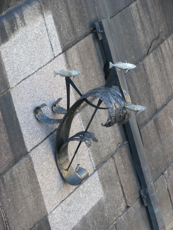 IMG_0685.jpg - ������ ���������� � �����-����������