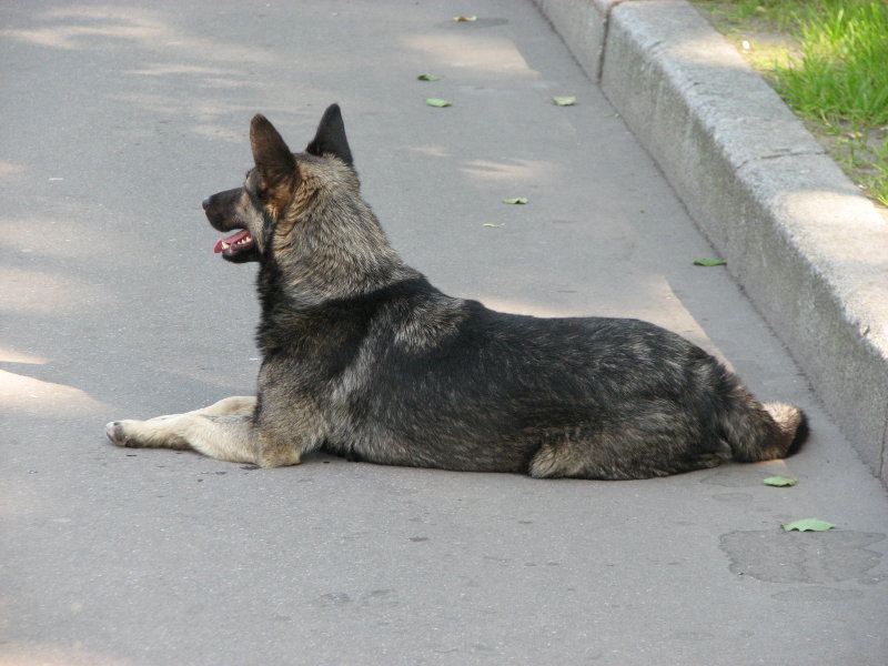 IMG_0703.jpg - ������ ���������� � �����-����������