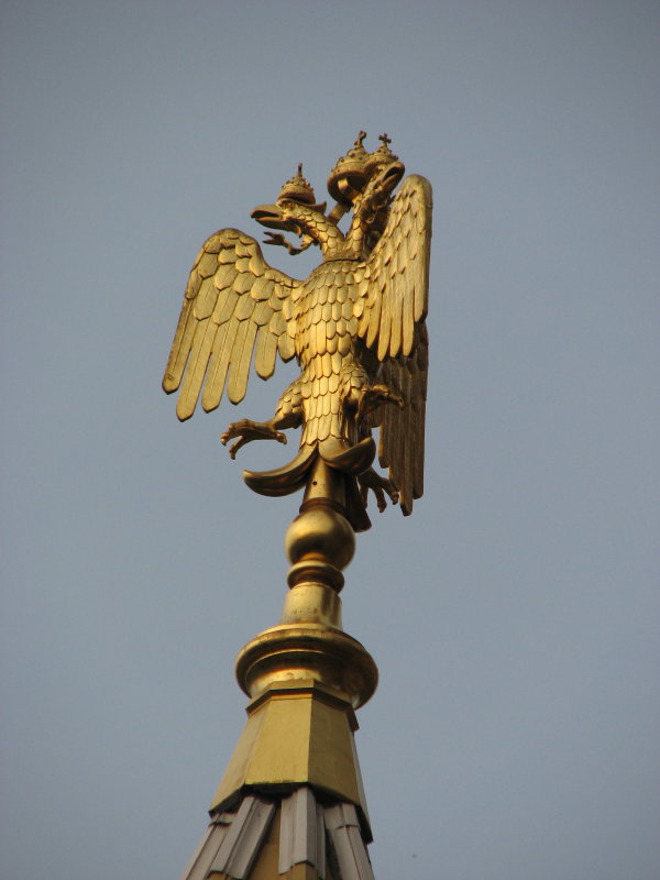 IMG_0746.jpg - ������ ���������� � �����-����������