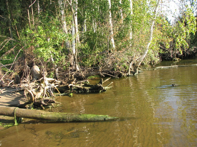 IMG_1520.jpg - ���-2007