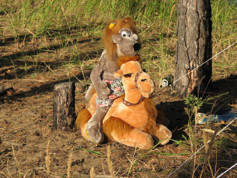 IMG_1525.jpg - ���-2007