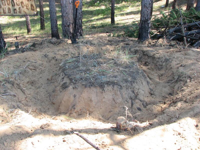 IMG_1636.jpg - ���-2007