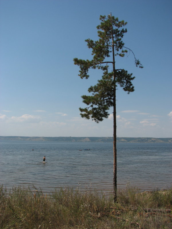 IMG_1698.jpg - ���-2007