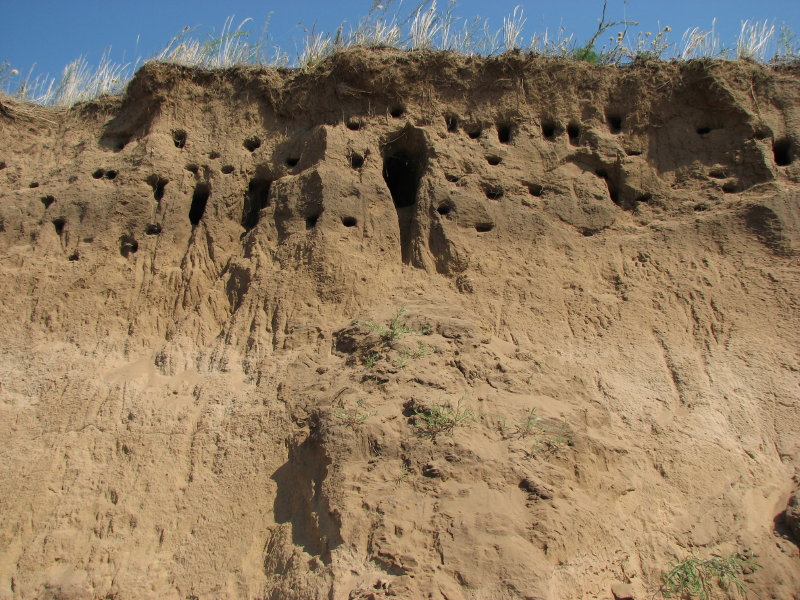 IMG_1718.jpg - ���-2007