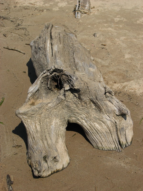 IMG_1959.jpg - ���-2007