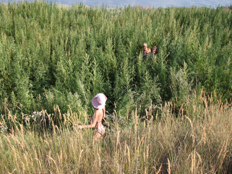 IMG_2049.jpg - ���-2007