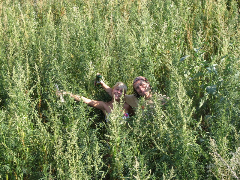 IMG_2050.jpg - ���-2007