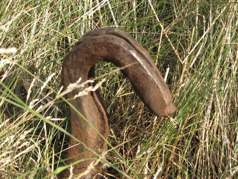 IMG_2068.jpg - ���-2007