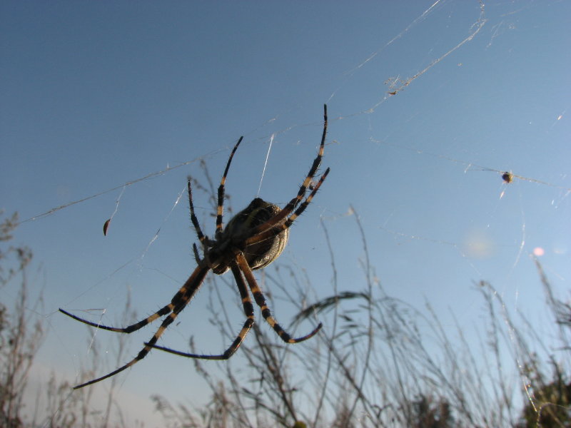 IMG_2143.jpg - ���-2007